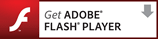 FLASH PLAYER Download