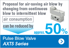 Pulse Blow AXTS Series