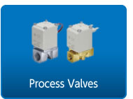 Process Valves