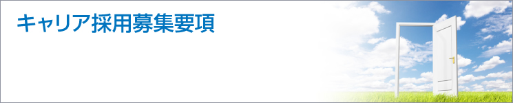 キャリア採用募集要項