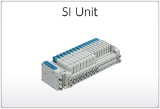 SI Unit