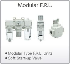 Modular F.R.L.